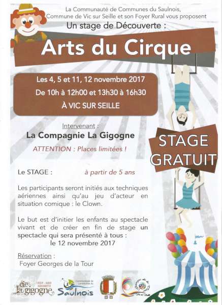 stage-decouverte-des-arts-du-cirque_1-1506441115-600